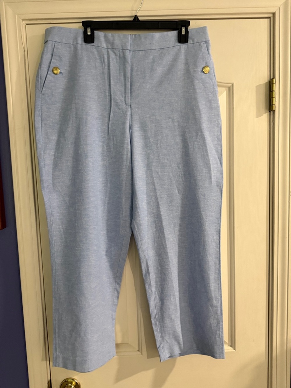 J. Crew Factory Pale Blue Capris with Gold-Tone Buttons